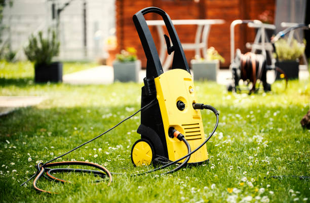Best Soft Washing  in Hamton, IL